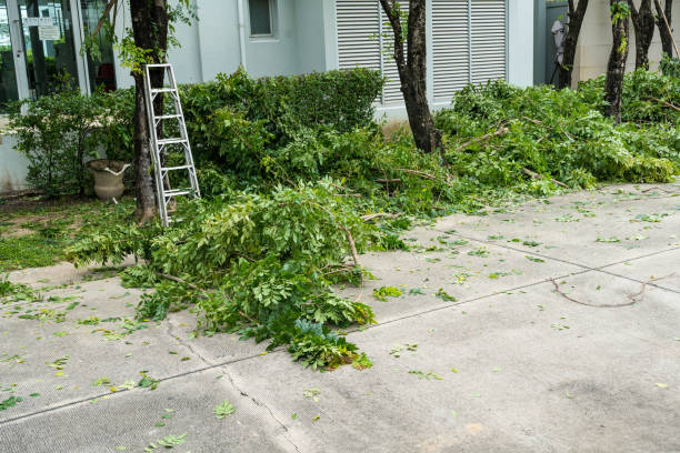 Best Lawn Irrigation Installation and Maintenance  in Fairland, MD